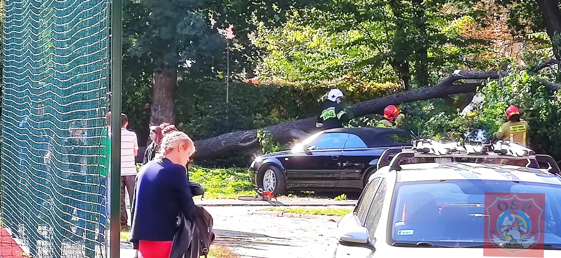Strażacy pocięli drzewo na kawałki, a następnie pomogli w przepchnięciu uszkodzonych samochodów. W zdarzeniu nikt nie ucierpiał (fot. OSP Racibórz Markowice).