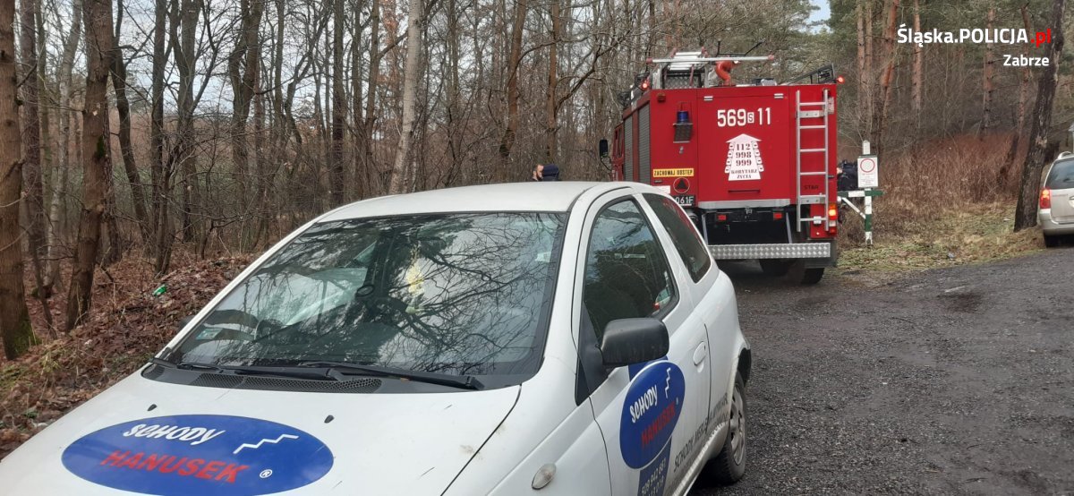 Samochód odnaleziono na skraju lasu, a dziś (17 grudnia - red.) od rana w tym rejonie zorganizowano poszukania, w których biorą udział policjanci zabrzańskiej komendy, mundurowi z katowickiego oddziału prewencji policji, strażacy oraz służby Leśne - czytamy w komunikacie policji.